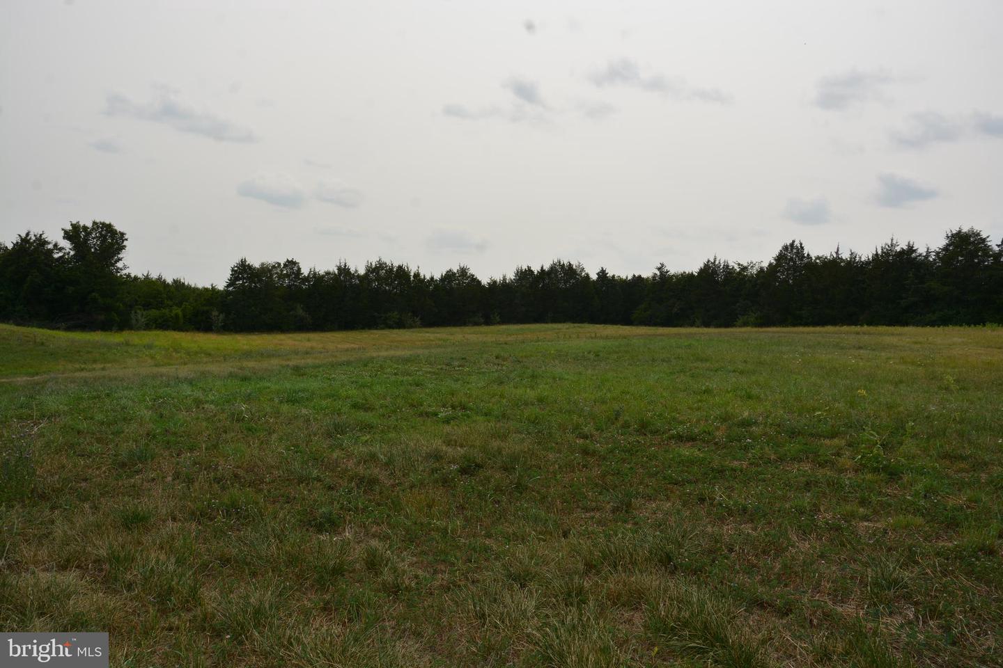 2700 FRONT ROYAL PIKE, STEPHENS CITY, Virginia 22655, ,Land,For sale,2700 FRONT ROYAL PIKE,VAFV2014416 MLS # VAFV2014416