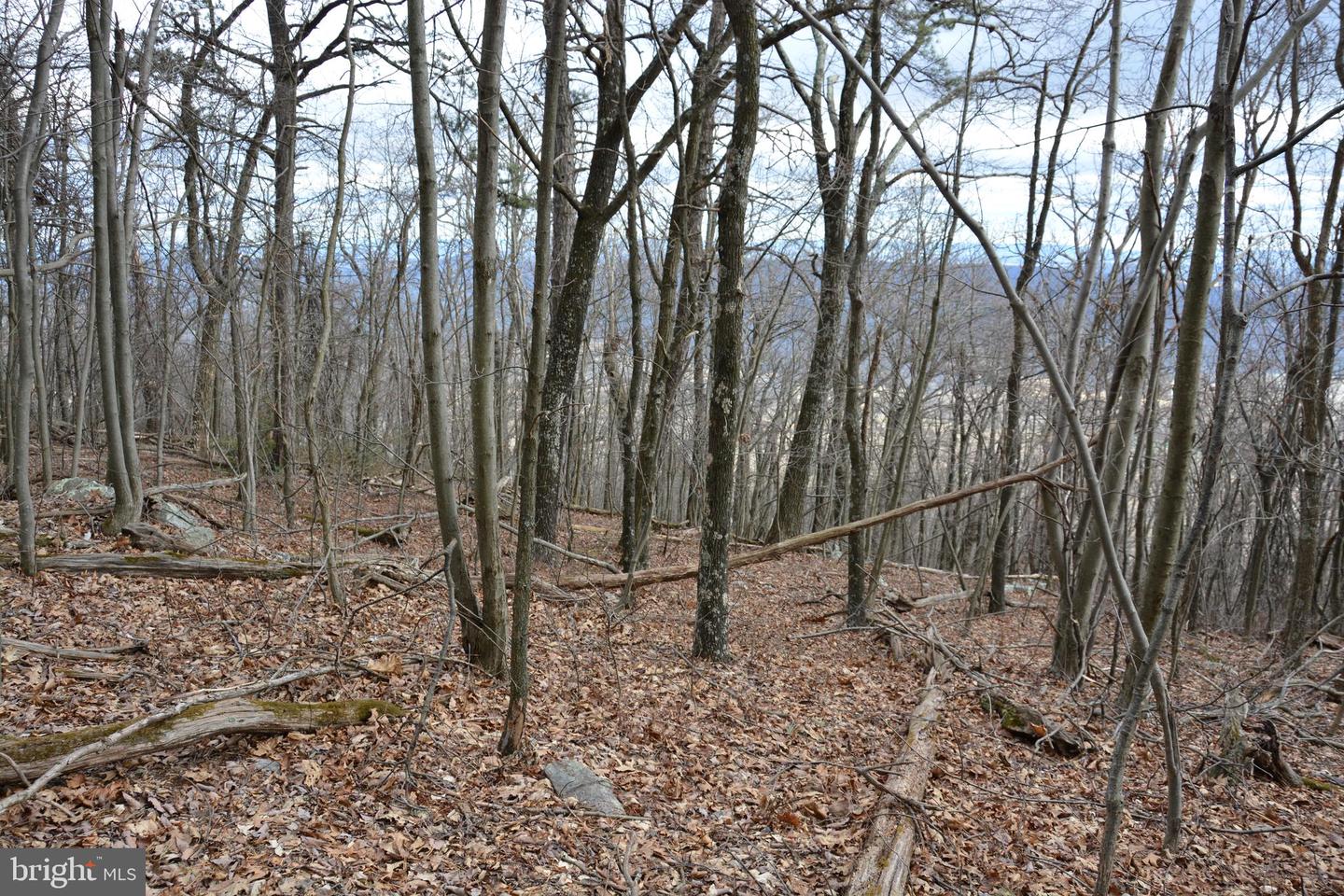 ROCKWOOD TRL #49.61 ACRES, WINCHESTER, Virginia 22602, ,Land,For sale,ROCKWOOD TRL #49.61 ACRES,VAFV2015652 MLS # VAFV2015652