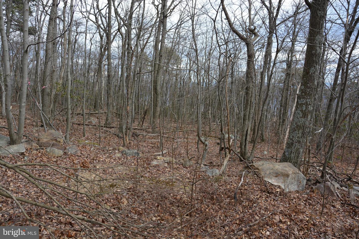 ROCKWOOD TRL #49.61 ACRES, WINCHESTER, Virginia 22602, ,Land,For sale,ROCKWOOD TRL #49.61 ACRES,VAFV2015652 MLS # VAFV2015652