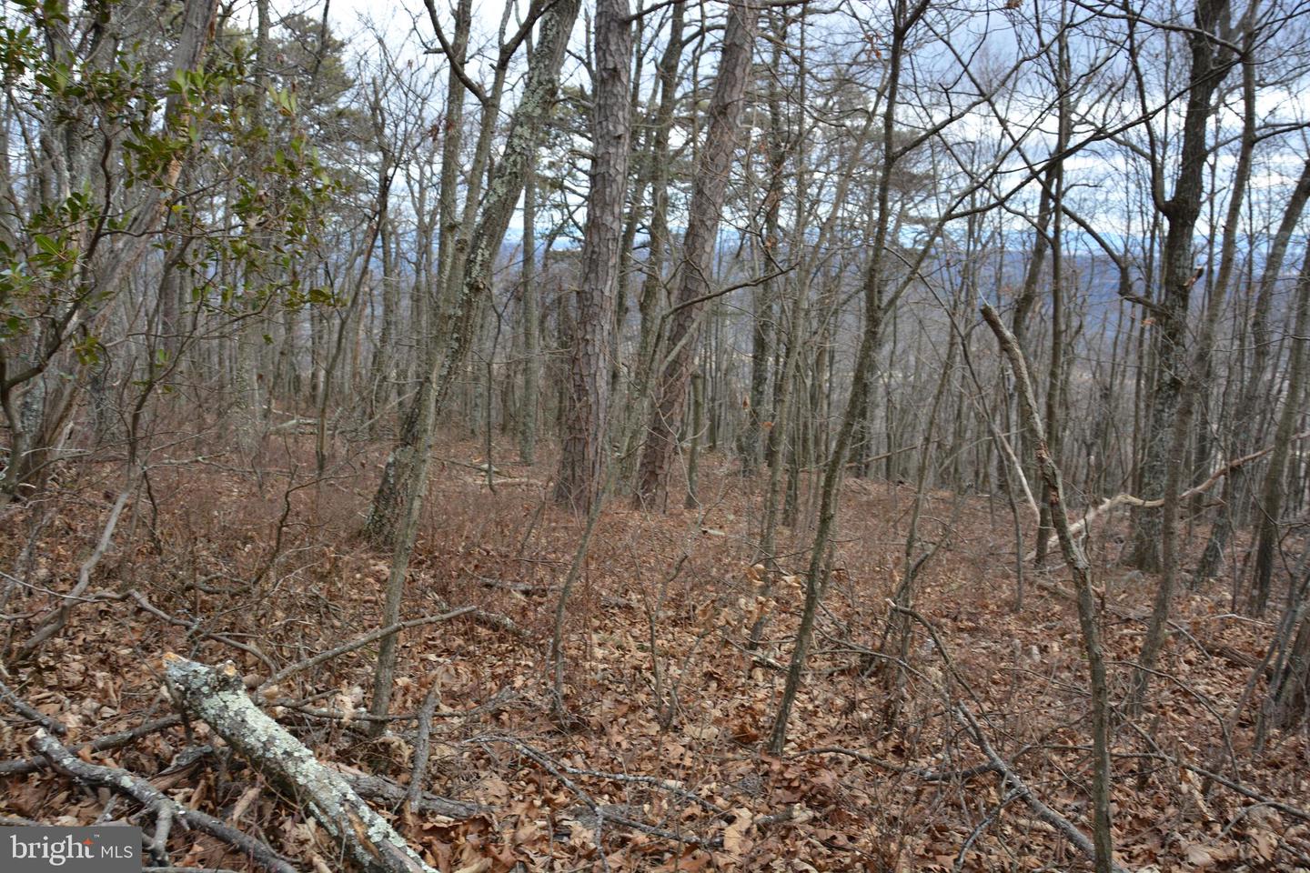 ROCKWOOD TRL #49.61 ACRES, WINCHESTER, Virginia 22602, ,Land,For sale,ROCKWOOD TRL #49.61 ACRES,VAFV2015652 MLS # VAFV2015652