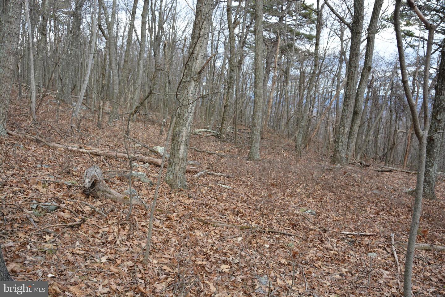 ROCKWOOD TRL #49.61 ACRES, WINCHESTER, Virginia 22602, ,Land,For sale,ROCKWOOD TRL #49.61 ACRES,VAFV2015652 MLS # VAFV2015652