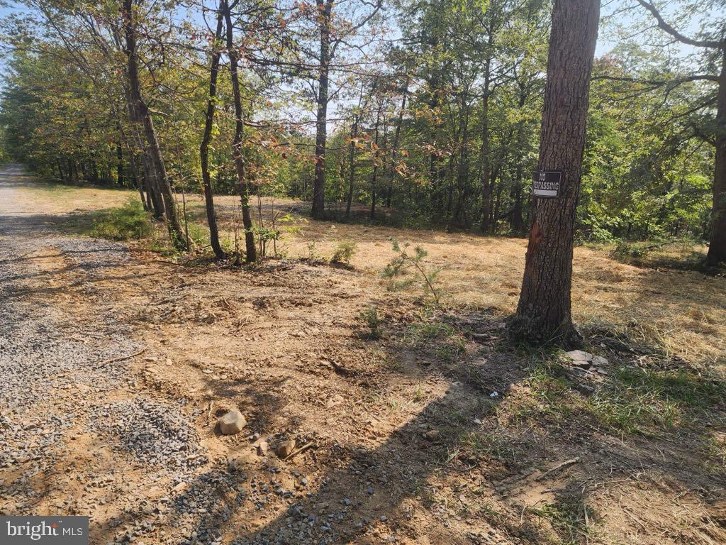 105 ARUM TRAIL, WINCHESTER, Virginia 22602, ,Land,For sale,105 ARUM TRAIL,VAFV2019546 MLS # VAFV2019546