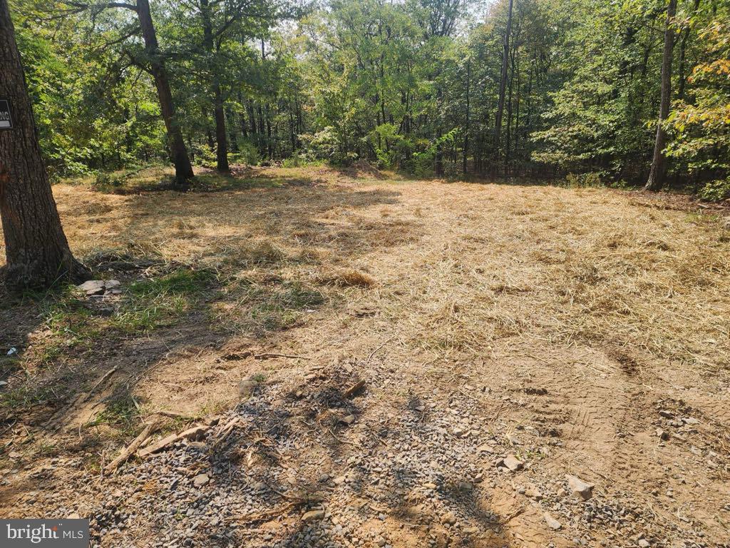 105 ARUM TRAIL, WINCHESTER, Virginia 22602, ,Land,For sale,105 ARUM TRAIL,VAFV2019546 MLS # VAFV2019546