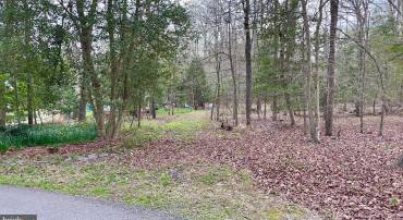 10822 HARLEY, LORTON, Virginia 22079, ,Land,For sale,10822 HARLEY,VAFX2172690 MLS # VAFX2172690