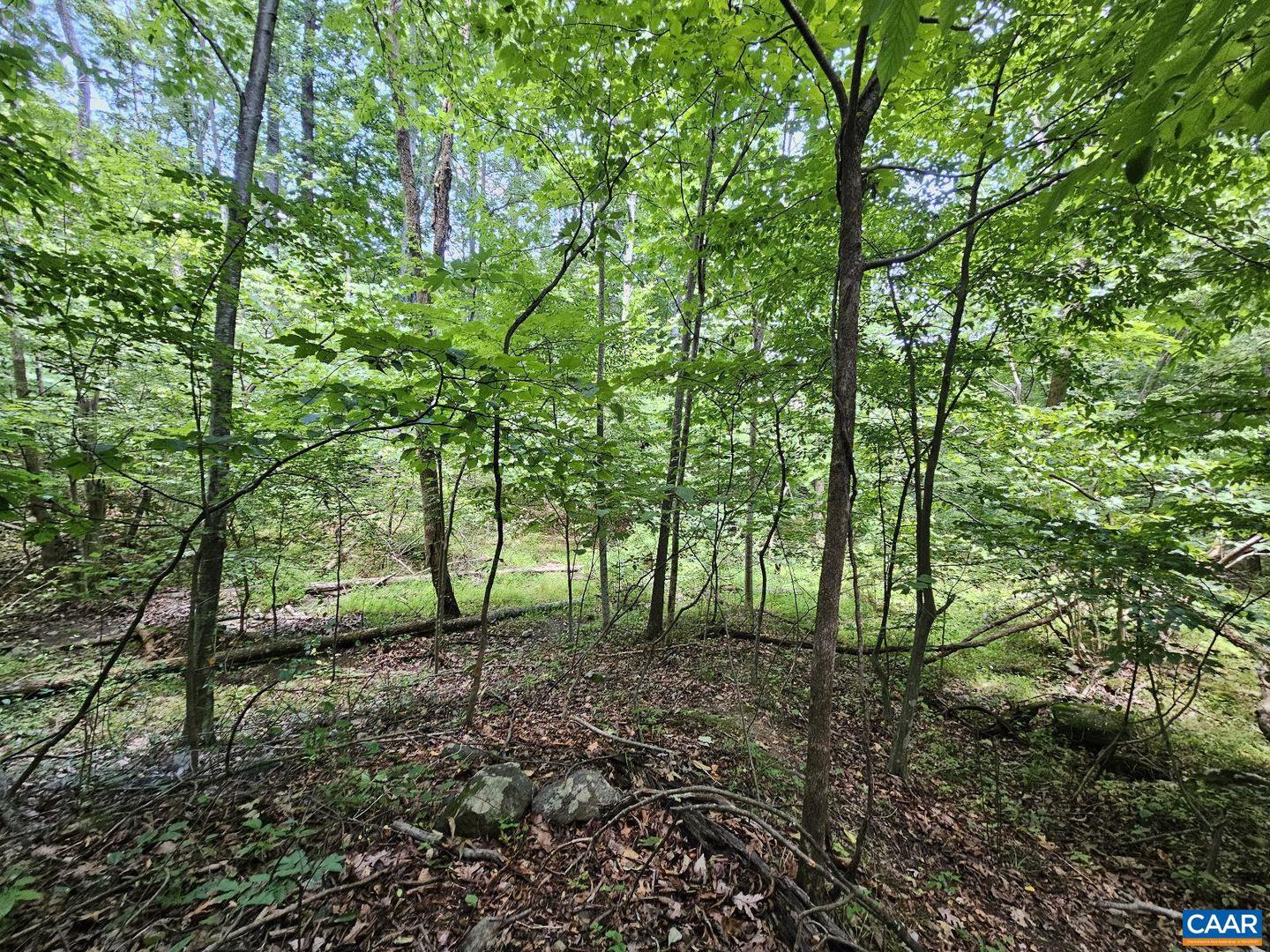 TBD LOT 18 FARMVIEW RD #18, STANARDSVILLE, Virginia 22973, ,Land,For sale,TBD LOT 18 FARMVIEW RD #18,654619 MLS # 654619