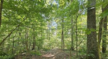 TBD LOT 18 FARMVIEW RD #18, STANARDSVILLE, Virginia 22973, ,Land,For sale,TBD LOT 18 FARMVIEW RD #18,654619 MLS # 654619