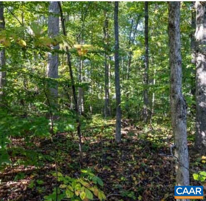 LOT 1154 FERNDALE DR #1154, LOUISA, Virginia 23093, ,Land,For sale,LOT 1154 FERNDALE DR #1154,659835 MLS # 659835