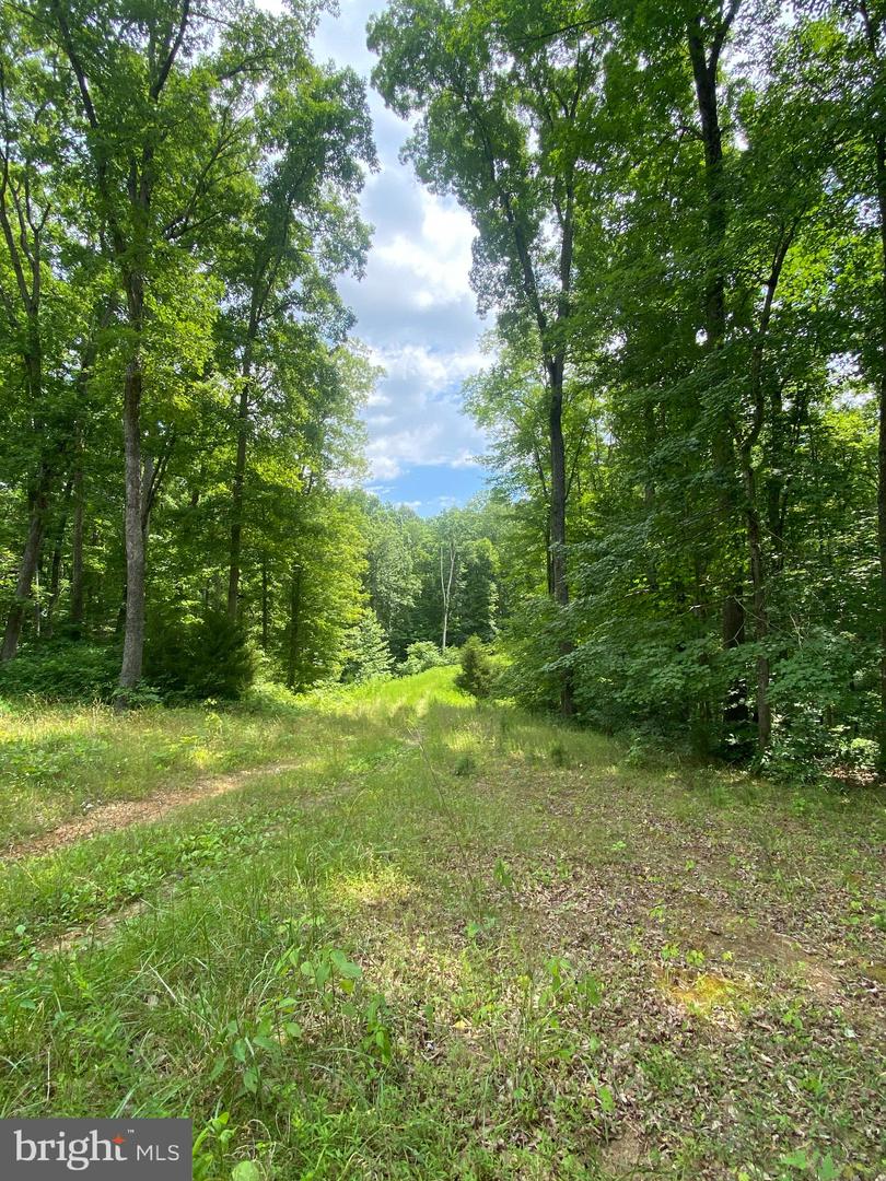 HOPE LN, ORANGE, Virginia 22960, ,Land,For sale,HOPE LN,VAOR2007640 MLS # VAOR2007640