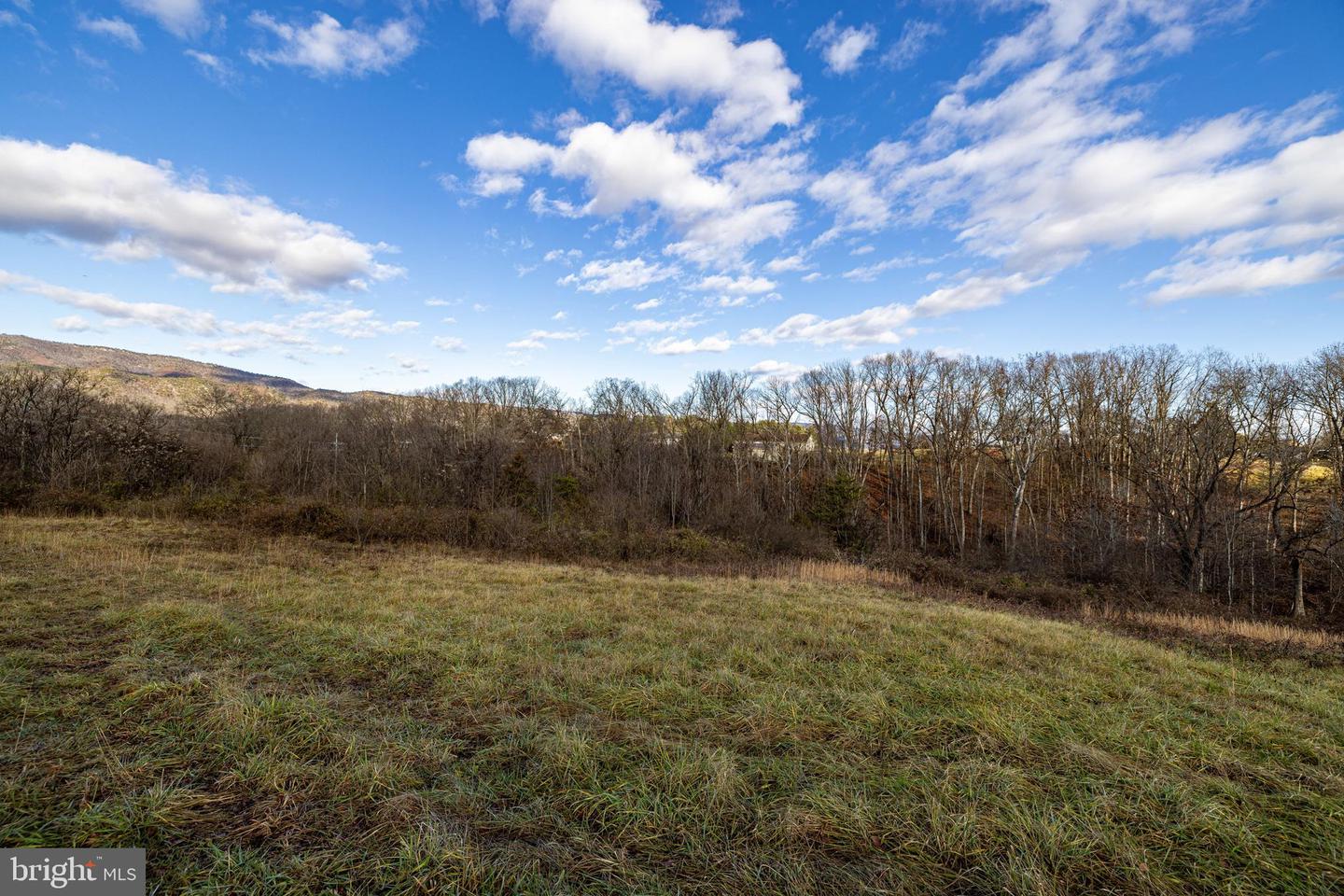 0 GRANDOS ST, SHENANDOAH, Virginia 22849, ,Land,For sale,0 GRANDOS ST,VAPA2004316 MLS # VAPA2004316