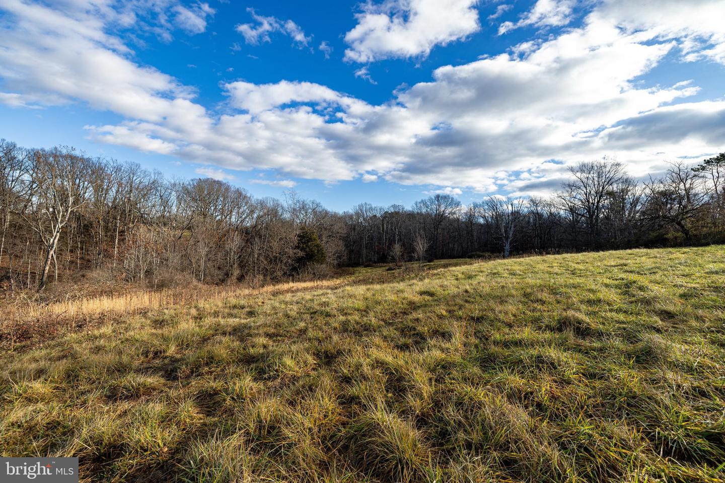 0 GRANDOS ST, SHENANDOAH, Virginia 22849, ,Land,For sale,0 GRANDOS ST,VAPA2004316 MLS # VAPA2004316