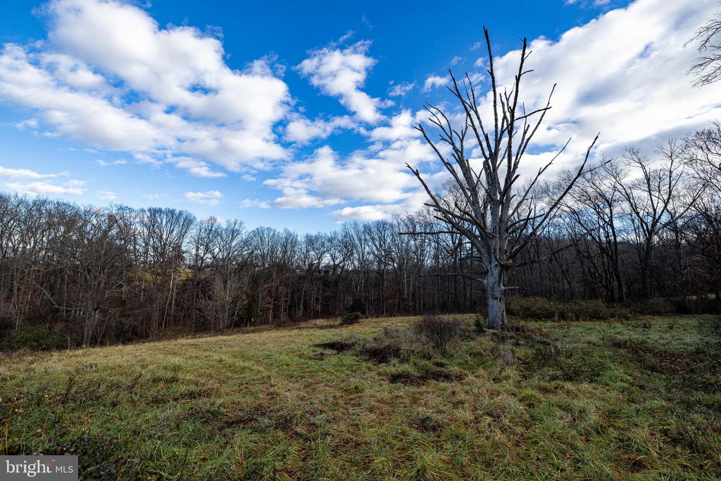 0 GRANDOS ST, SHENANDOAH, Virginia 22849, ,Land,For sale,0 GRANDOS ST,VAPA2004316 MLS # VAPA2004316