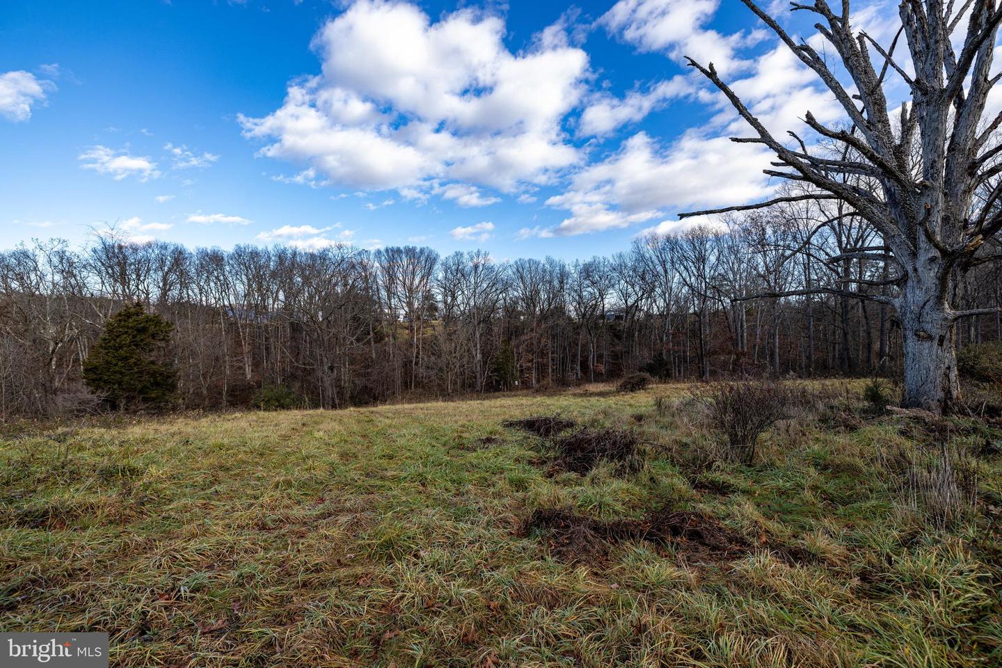 0 GRANDOS ST, SHENANDOAH, Virginia 22849, ,Land,For sale,0 GRANDOS ST,VAPA2004316 MLS # VAPA2004316