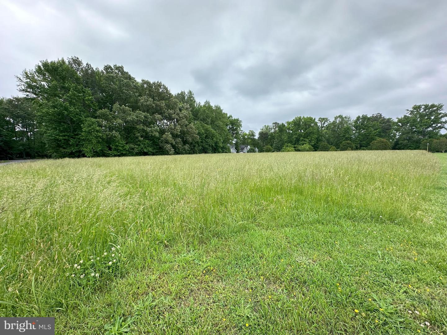 LOT 3 POTOMAC DR, HEATHSVILLE, Virginia 22473, ,Land,For sale,LOT 3 POTOMAC DR,VANV2001194 MLS # VANV2001194