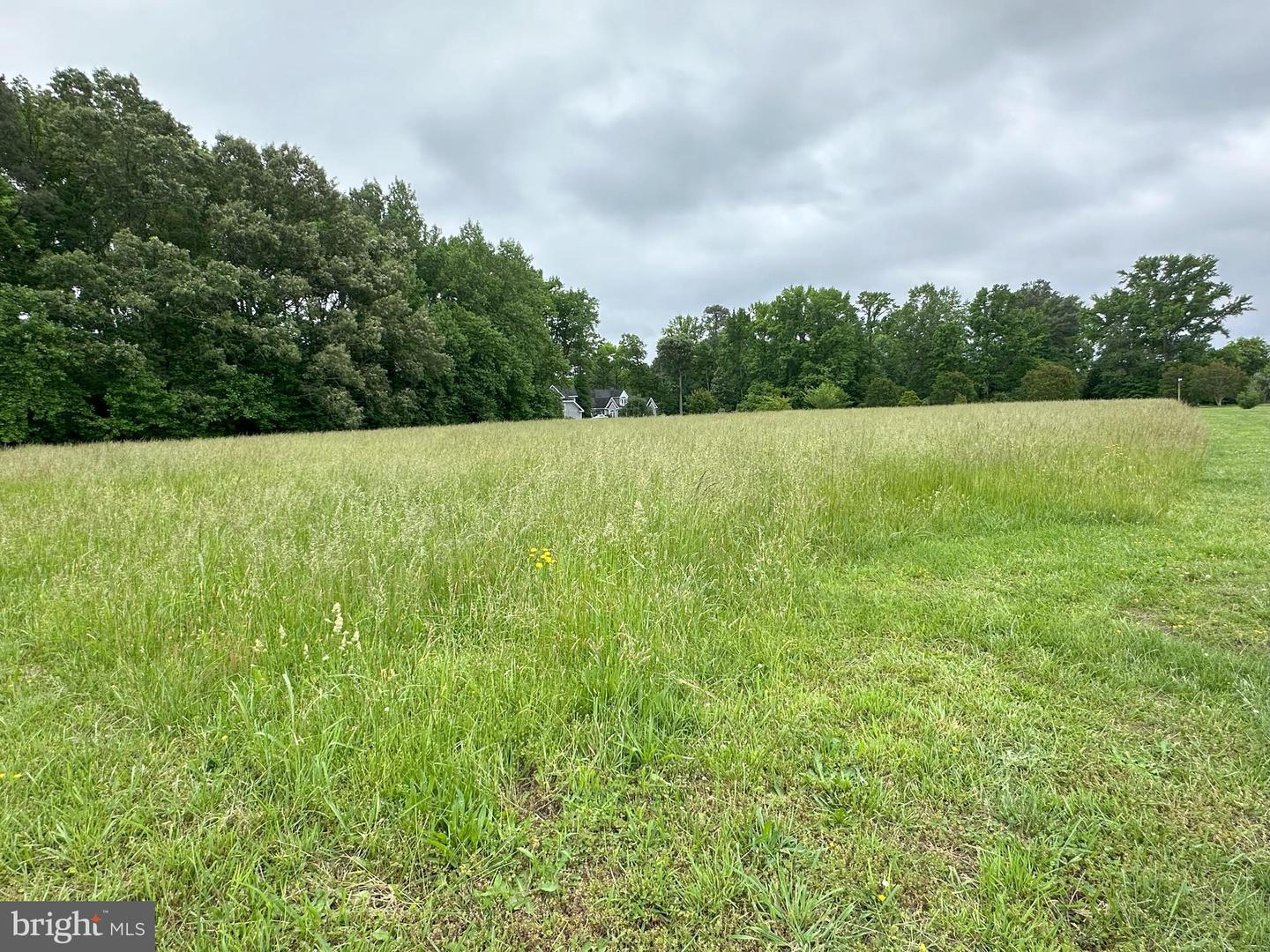 LOT 3 POTOMAC DR, HEATHSVILLE, Virginia 22473, ,Land,For sale,LOT 3 POTOMAC DR,VANV2001194 MLS # VANV2001194