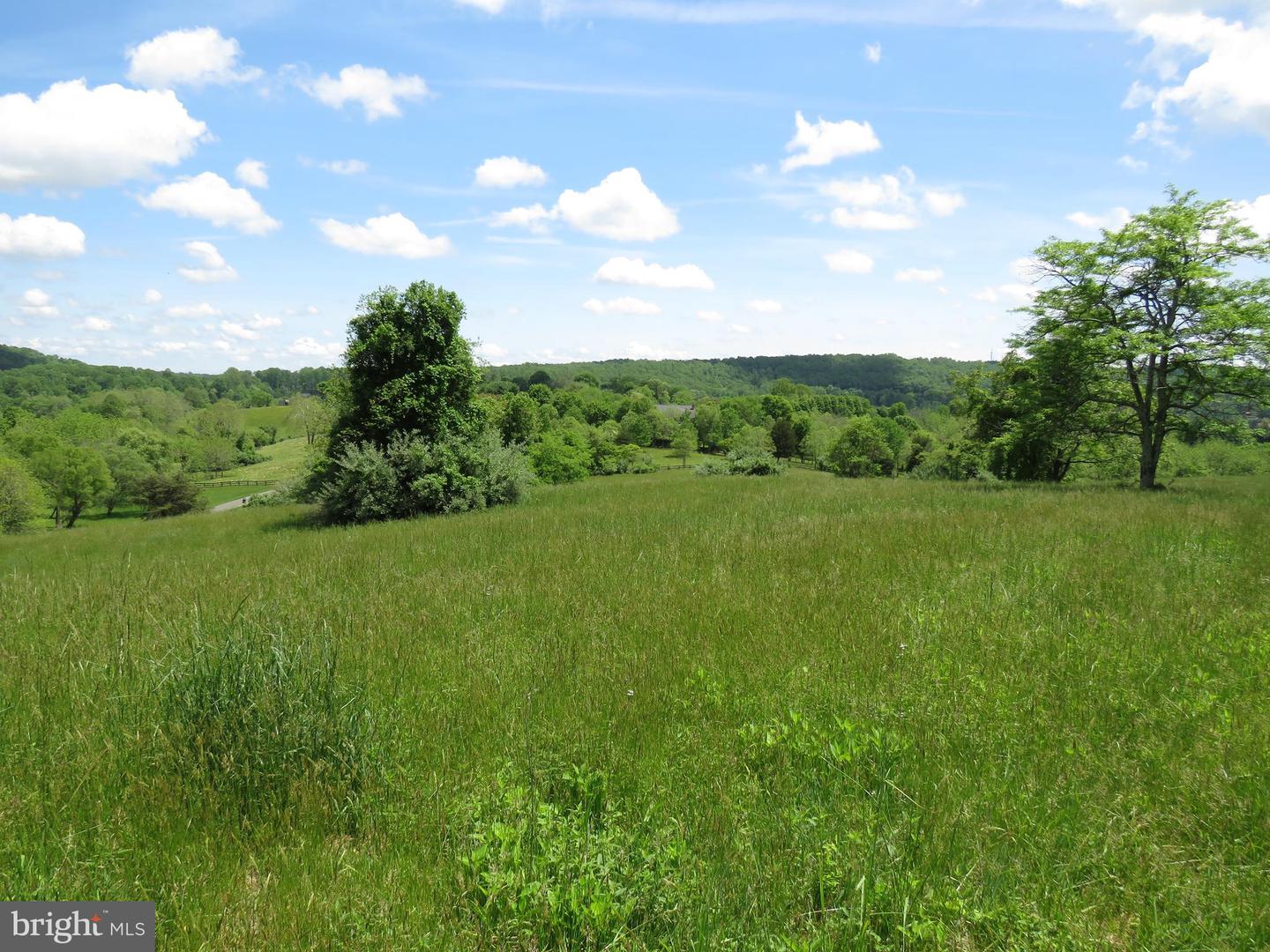 PARCEL 1 TIMOTHY LN, WARRENTON, Virginia 20186, ,Farm,For sale,PARCEL 1 TIMOTHY LN,VAFQ2014946 MLS # VAFQ2014946