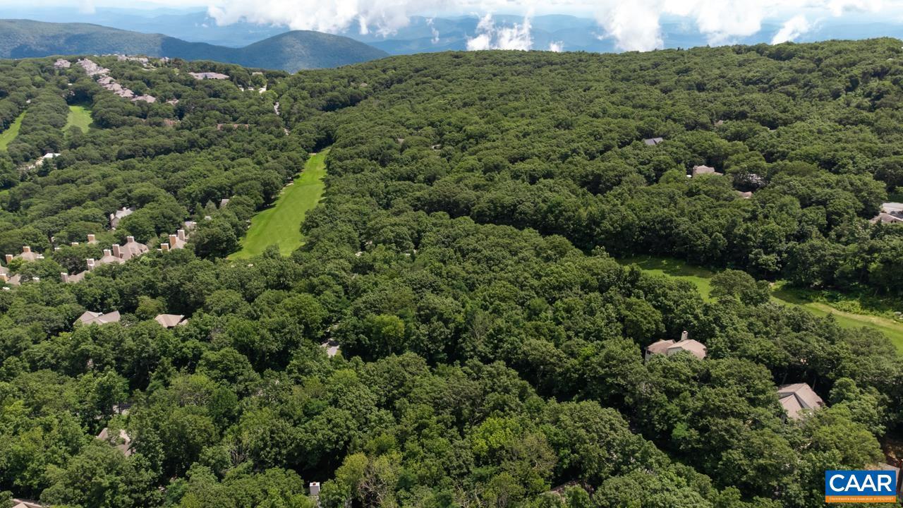 167 DEVILS KNOB LOOP, WINTERGREEN RESORT, Virginia 22967, ,Land,For sale,167 DEVILS KNOB LOOP,659866 MLS # 659866