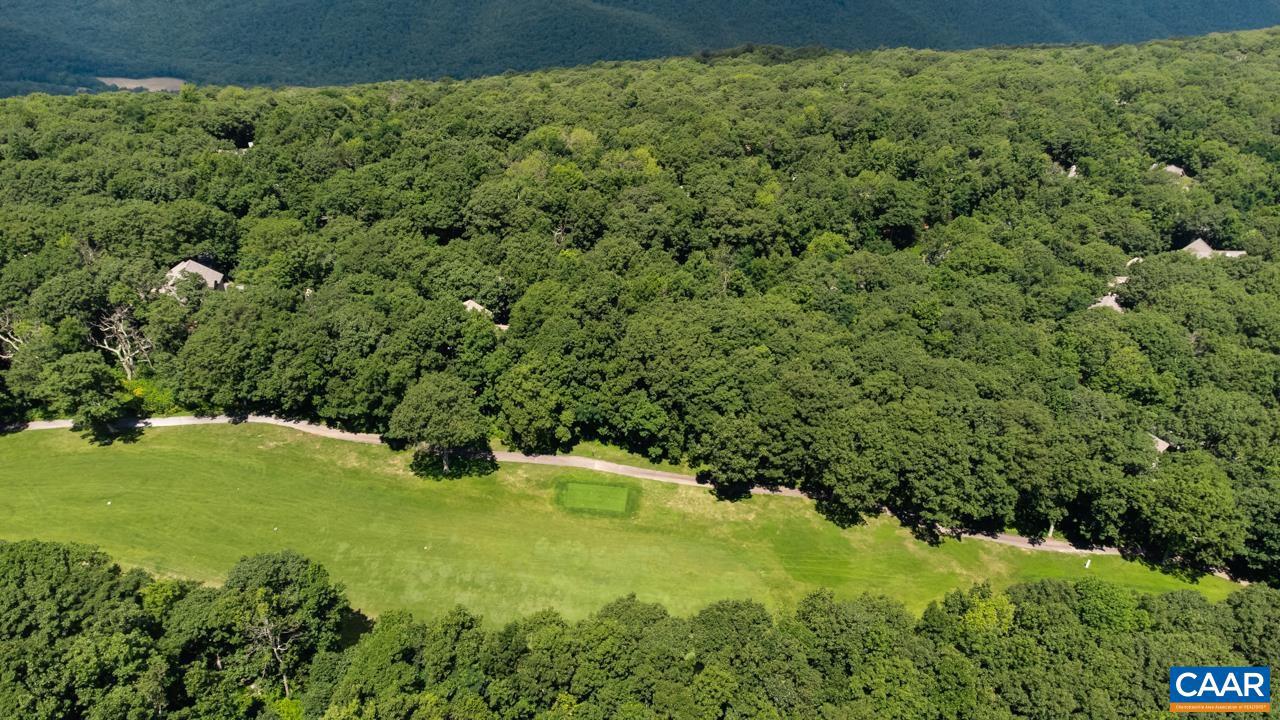 167 DEVILS KNOB LOOP, WINTERGREEN RESORT, Virginia 22967, ,Land,For sale,167 DEVILS KNOB LOOP,659866 MLS # 659866