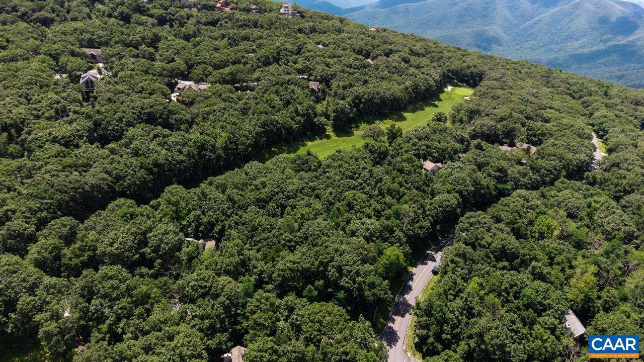 167 DEVILS KNOB LOOP, WINTERGREEN RESORT, Virginia 22967, ,Land,For sale,167 DEVILS KNOB LOOP,659866 MLS # 659866