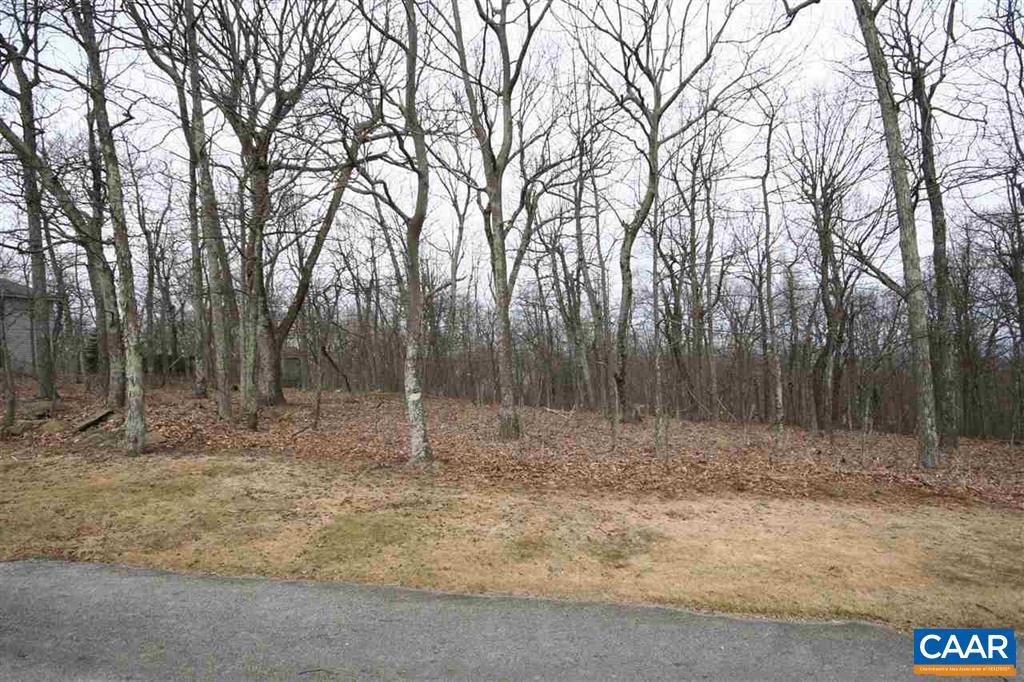 191 DEVILS KNOB LOOP, WINTERGREEN RESORT, Virginia 22967, ,Land,For sale,191 DEVILS KNOB LOOP,659867 MLS # 659867