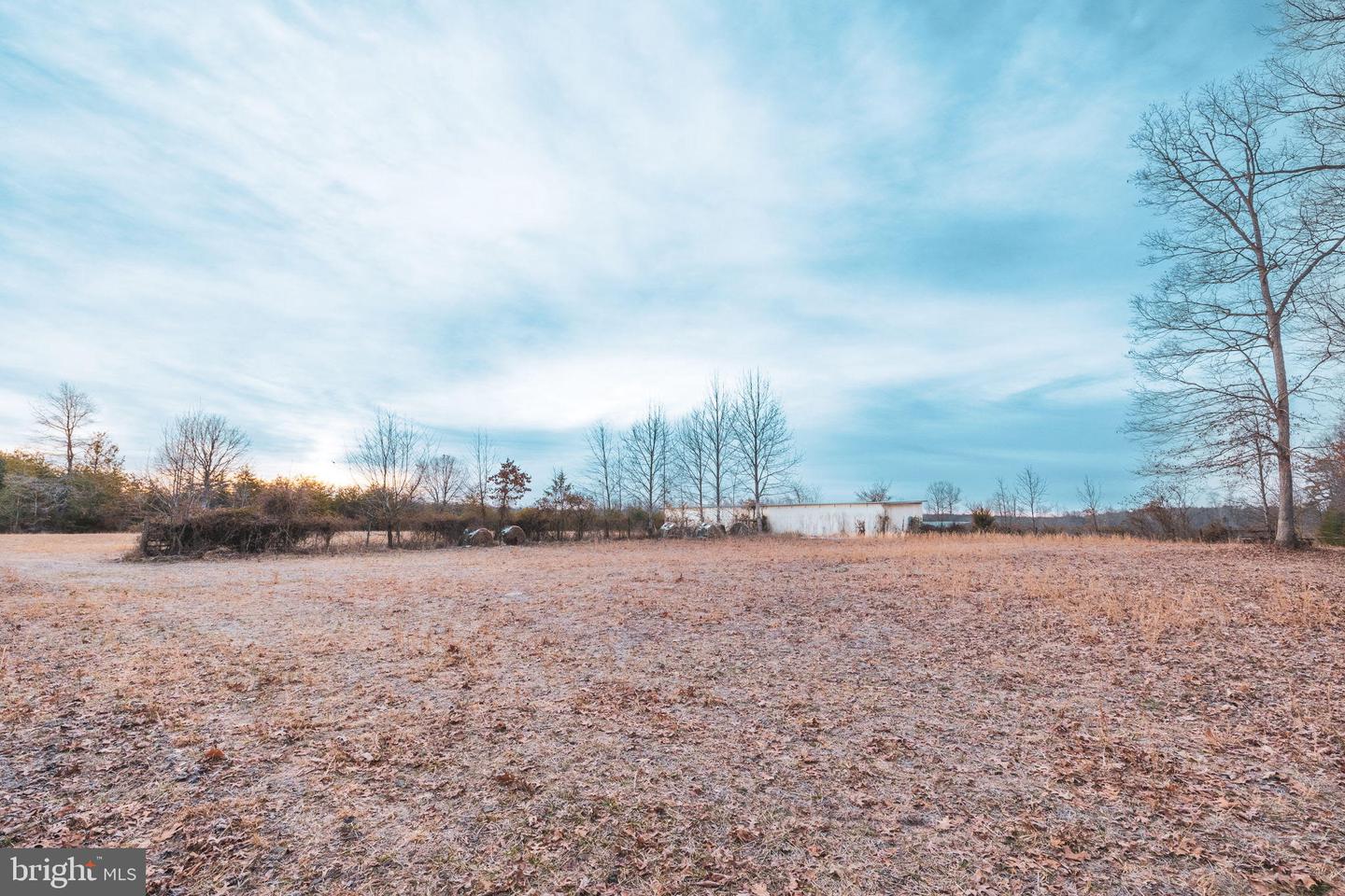 0 COURTNEY SCHOOL ROAD, CATLETT, Virginia 20119, ,Farm,For sale,0 COURTNEY SCHOOL ROAD,VAFQ2015072 MLS # VAFQ2015072