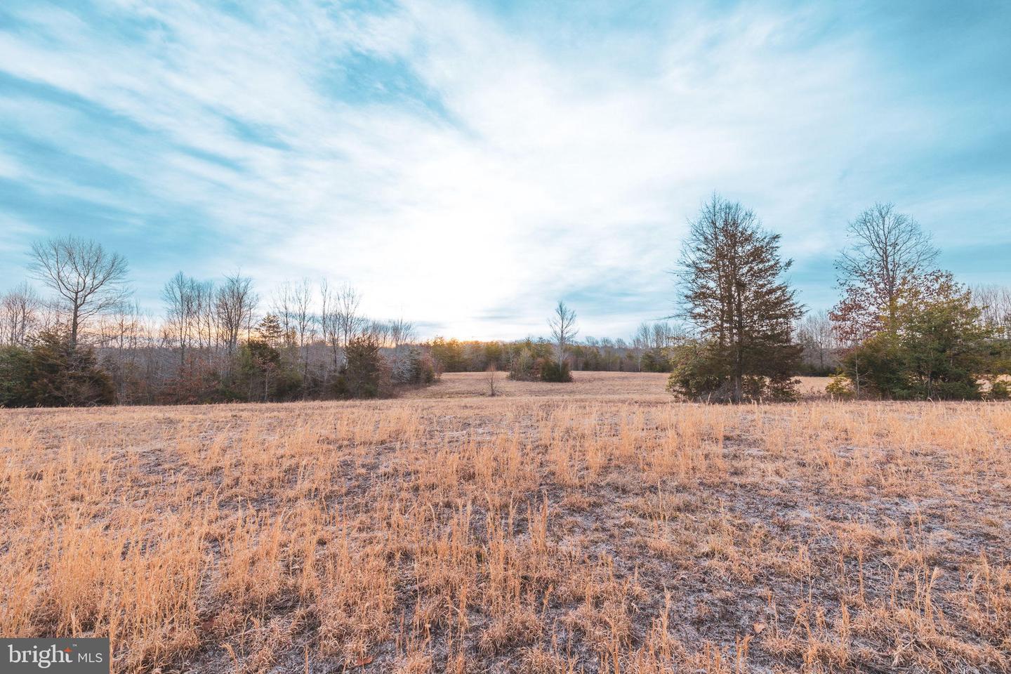 0 COURTNEY SCHOOL ROAD, CATLETT, Virginia 20119, ,Farm,For sale,0 COURTNEY SCHOOL ROAD,VAFQ2015072 MLS # VAFQ2015072