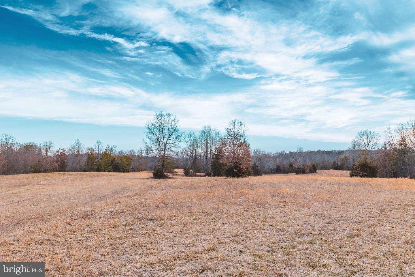 0 COURTNEY SCHOOL ROAD, CATLETT, Virginia 20119, ,Farm,For sale,0 COURTNEY SCHOOL ROAD,VAFQ2015072 MLS # VAFQ2015072