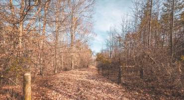 0 COURTNEY SCHOOL ROAD, CATLETT, Virginia 20119, ,Farm,For sale,0 COURTNEY SCHOOL ROAD,VAFQ2015072 MLS # VAFQ2015072