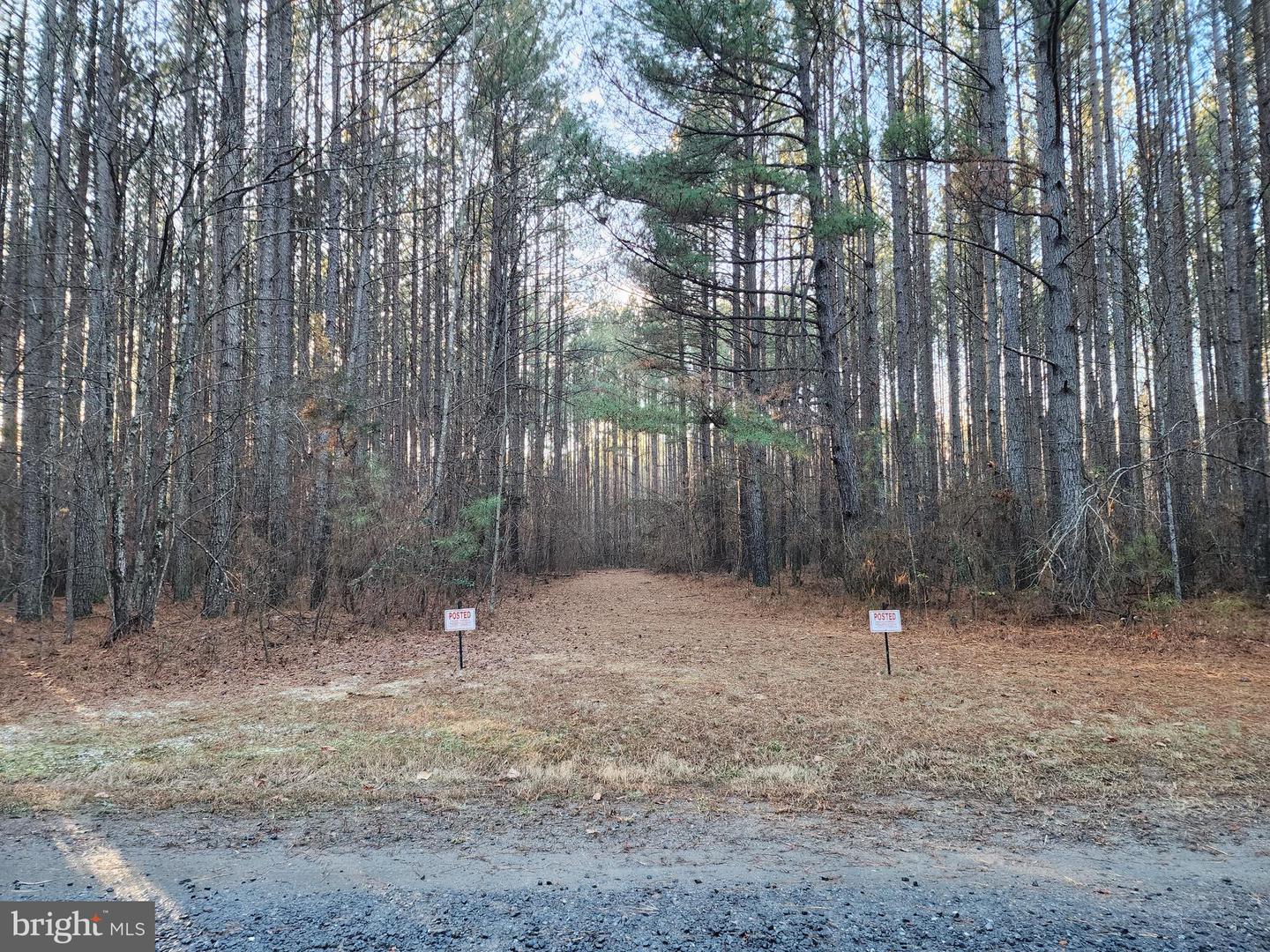 LOT 7 PINEHURST LN, SPOTSYLVANIA, Virginia 22551, ,Land,For sale,LOT 7 PINEHURST LN,VASP2029960 MLS # VASP2029960