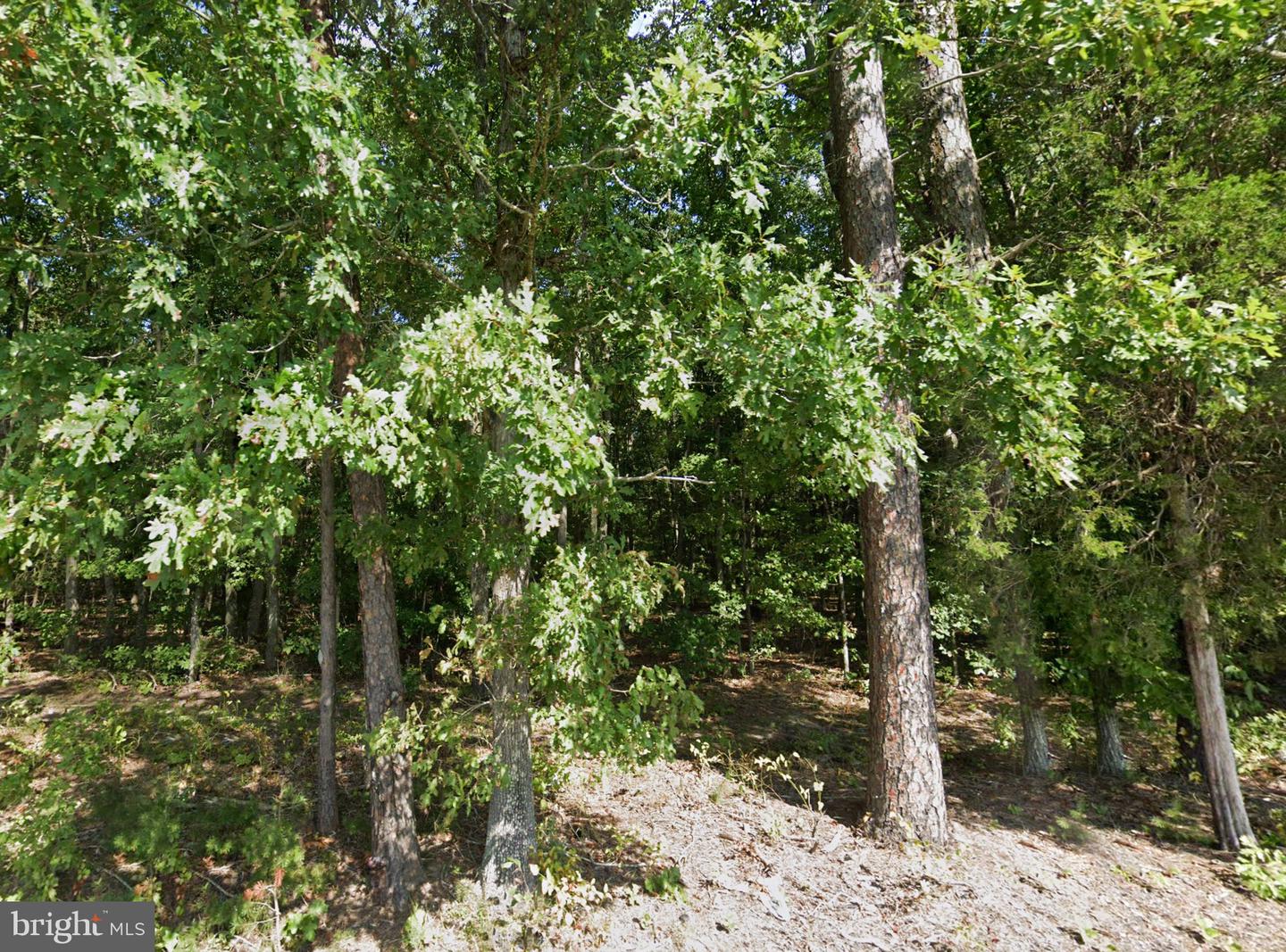 00 NEW HAMPSHIRE RD, LOCUST GROVE, Virginia 22508, ,Land,For sale,00 NEW HAMPSHIRE RD,VAOR2008636 MLS # VAOR2008636