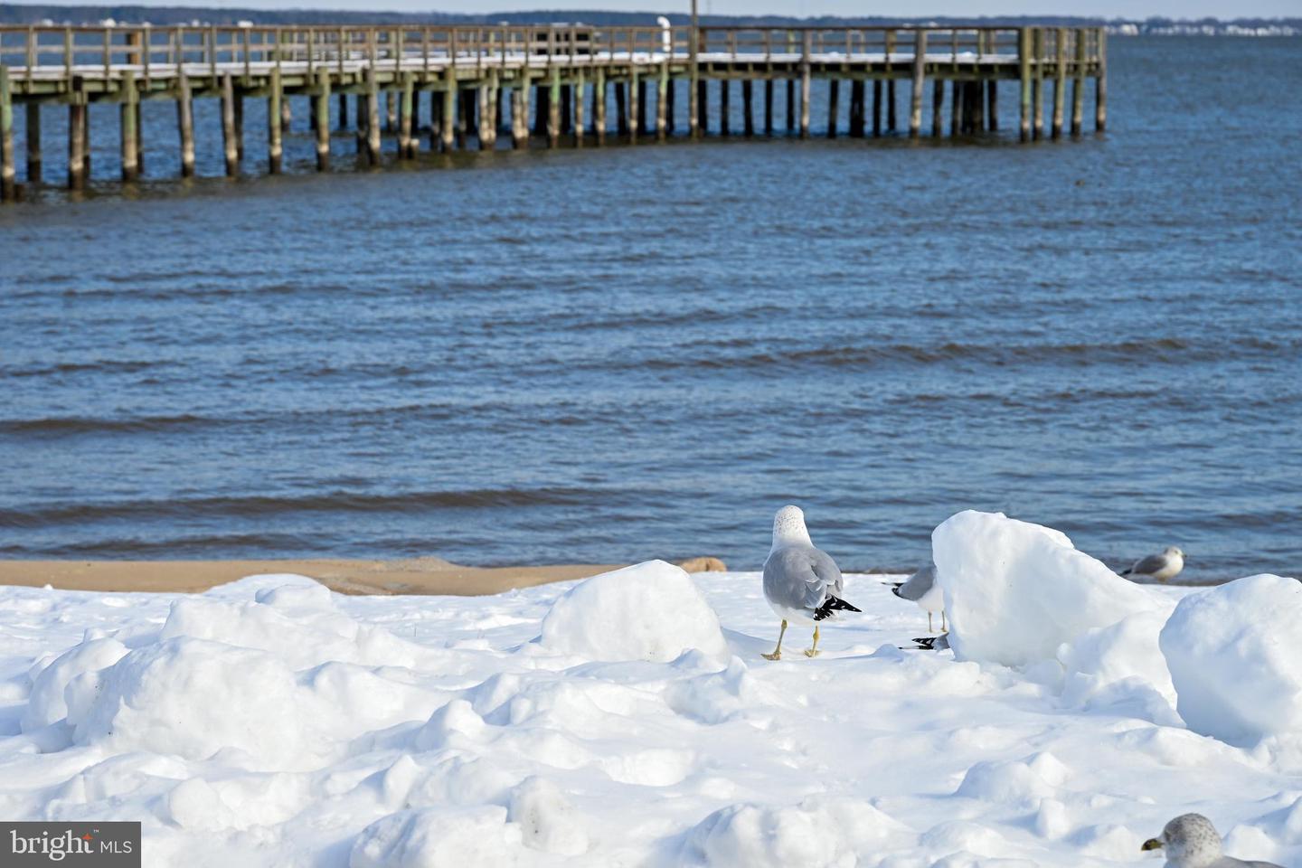 LOT 10 WOODMOUNT DR, COLONIAL BEACH, Virginia 22443, ,Land,For sale,LOT 10 WOODMOUNT DR,VAWE2008034 MLS # VAWE2008034