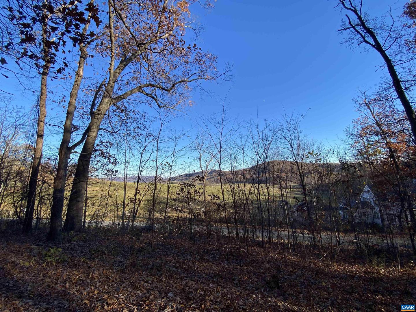 TBD BALLYSHANNON LN #B-01, NORTH GARDEN, Virginia 22959, ,Land,For sale,TBD BALLYSHANNON LN #B-01,648107 MLS # 648107