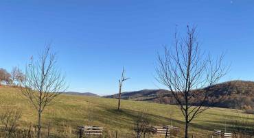 TBD BALLYSHANNON LN #B-01, NORTH GARDEN, Virginia 22959, ,Land,For sale,TBD BALLYSHANNON LN #B-01,648107 MLS # 648107