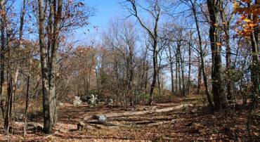 GREAT NORTH MOUNTAIN, WINCHESTER, Virginia 22602, ,Land,For sale,GREAT NORTH MOUNTAIN,VAFV2023242 MLS # VAFV2023242