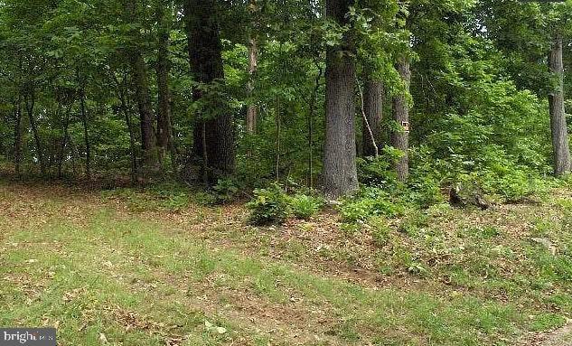 0 SUNRIDGE LN, ELKTON, Virginia 22827, ,Land,For sale,0 SUNRIDGE LN,VARO2001964 MLS # VARO2001964