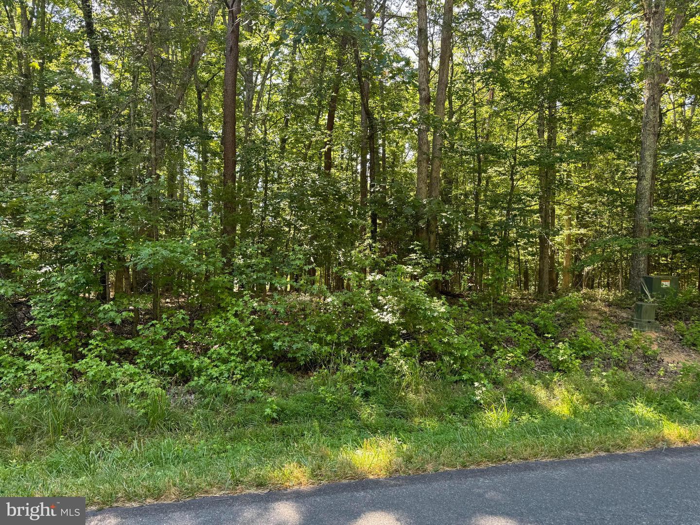 LOT 15 MOODY TOWN RD, BUMPASS, Virginia 23024, ,Land,For sale,LOT 15 MOODY TOWN RD,VALA2007098 MLS # VALA2007098