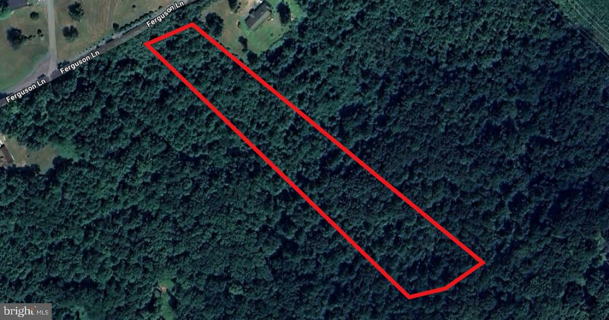 0 FERGUSON LN, JEFFERSONTON, Virginia 22724, ,Land,For sale,0 FERGUSON LN,VACU2009546 MLS # VACU2009546