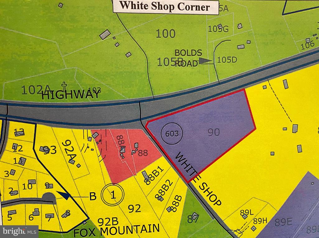 WHITE SHOP, CULPEPER, Virginia 22701, ,Land,For sale,WHITE SHOP,VACU141490 MLS # VACU141490