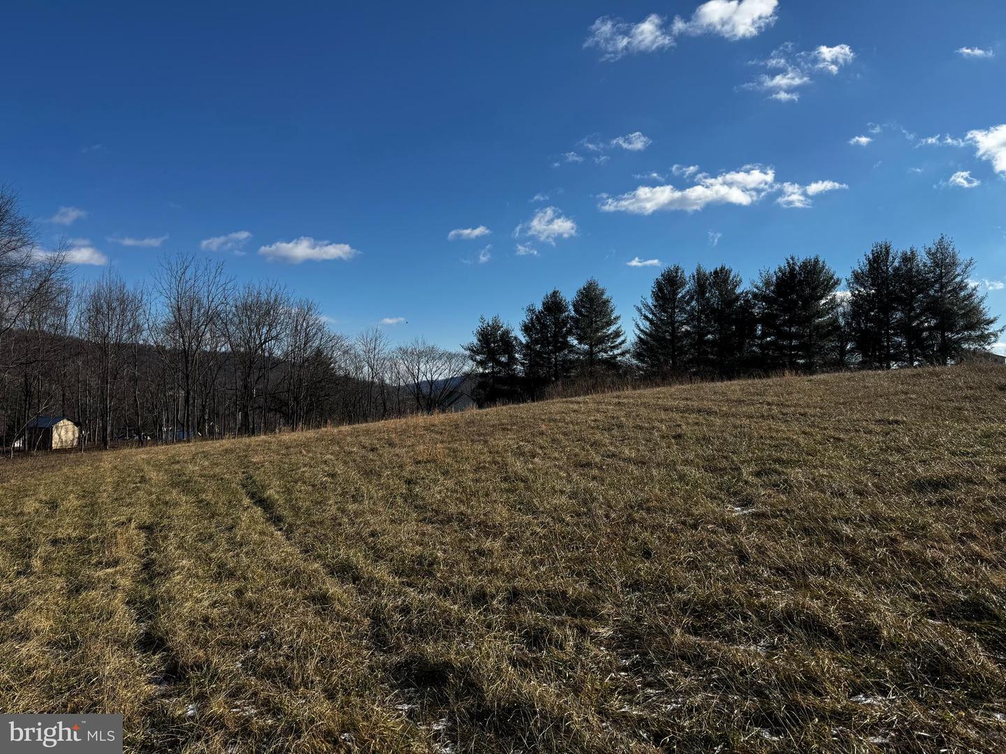 0 WOODWARD ROAD- LOT 1, SPERRYVILLE, Virginia 22740, ,Land,For sale,0 WOODWARD ROAD- LOT 1,VARP2001882 MLS # VARP2001882