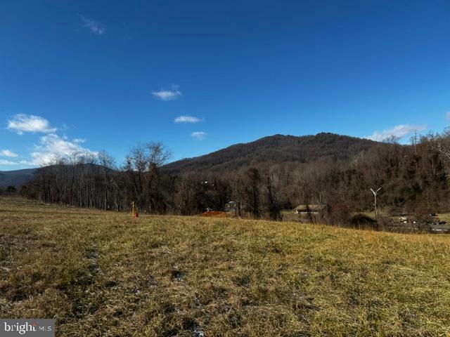 0 WOODWARD ROAD- LOT 1, SPERRYVILLE, Virginia 22740, ,Land,For sale,0 WOODWARD ROAD- LOT 1,VARP2001882 MLS # VARP2001882