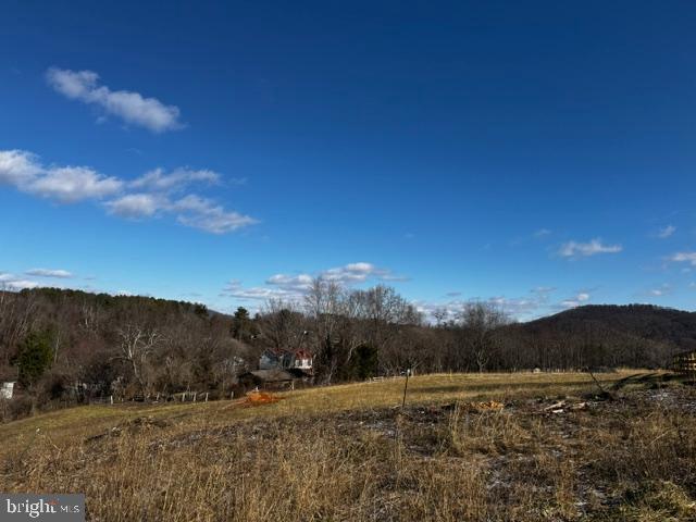 0 WOODWARD ROAD- LOT 1, SPERRYVILLE, Virginia 22740, ,Land,For sale,0 WOODWARD ROAD- LOT 1,VARP2001882 MLS # VARP2001882