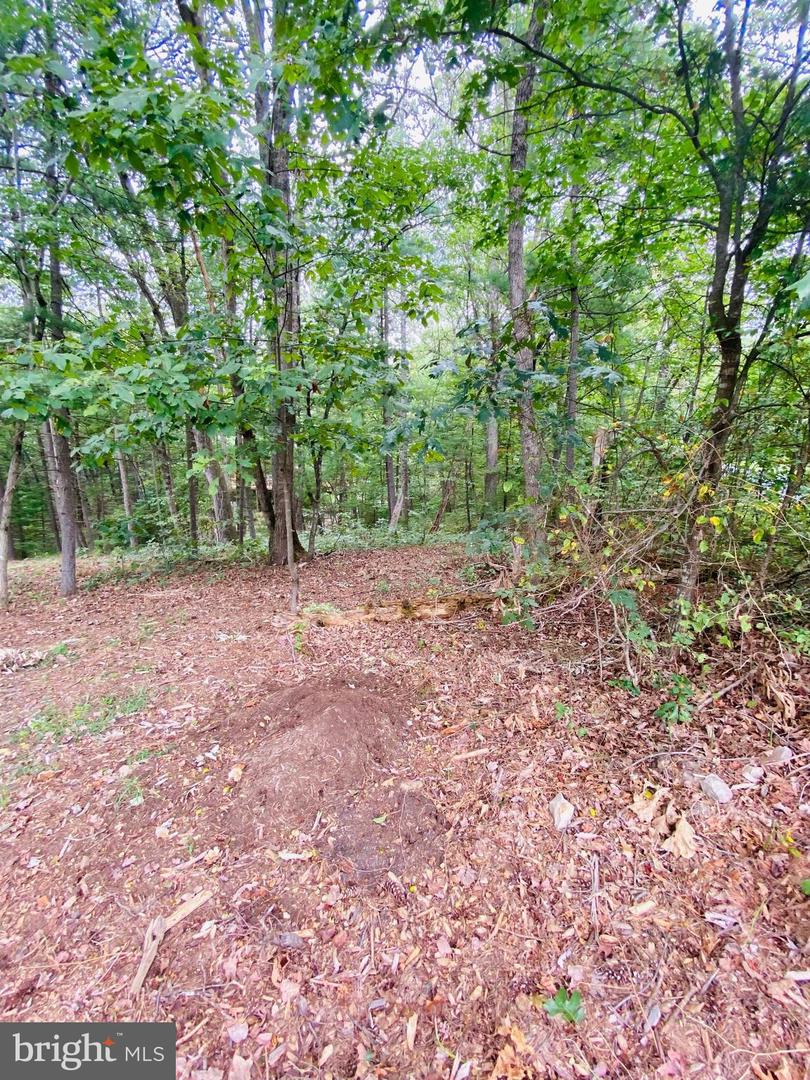 LOT 294 COTTONWOOD DRIVE, MOUNT JACKSON, Virginia 22842, ,Land,For sale,LOT 294 COTTONWOOD DRIVE,VASH2010424 MLS # VASH2010424