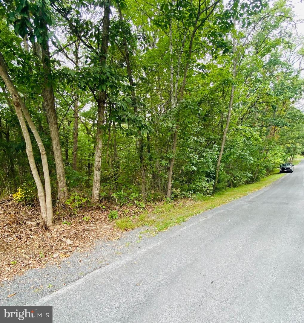 LOT 294 COTTONWOOD DRIVE, MOUNT JACKSON, Virginia 22842, ,Land,For sale,LOT 294 COTTONWOOD DRIVE,VASH2010424 MLS # VASH2010424