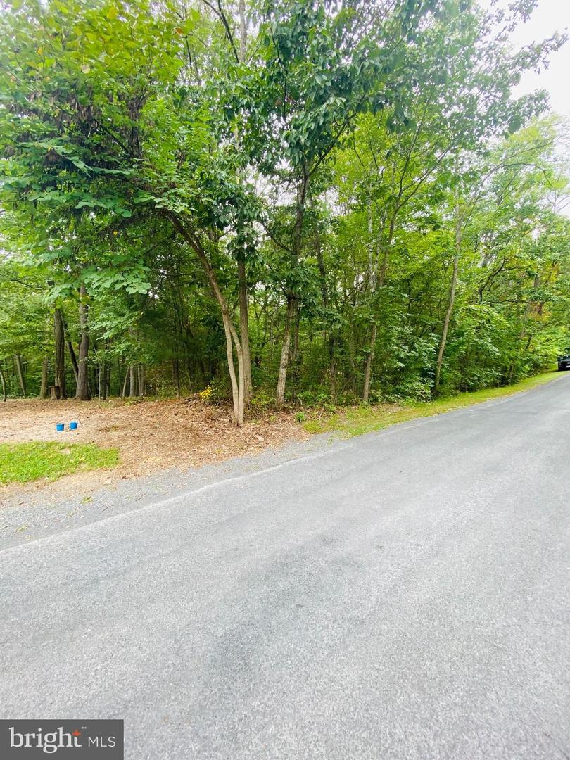 LOT 294 COTTONWOOD DRIVE, MOUNT JACKSON, Virginia 22842, ,Land,For sale,LOT 294 COTTONWOOD DRIVE,VASH2010424 MLS # VASH2010424