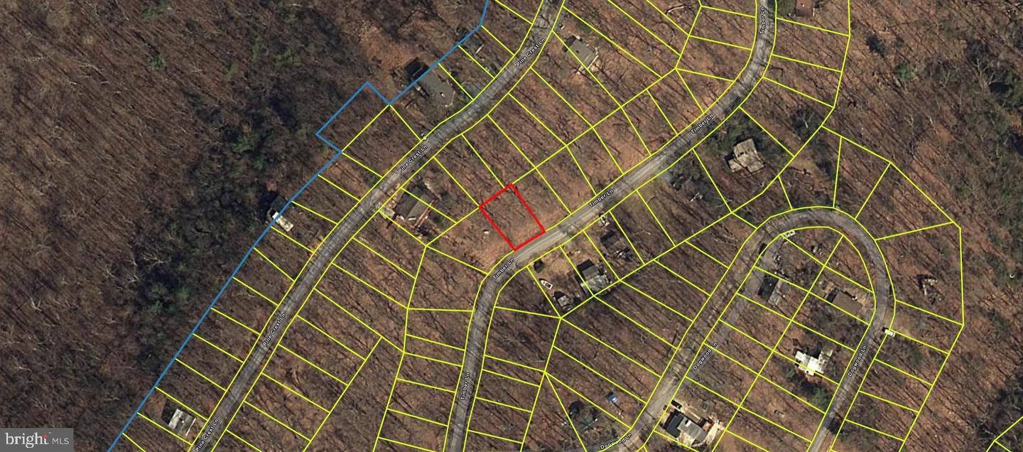 TIMBER LN, BLUEMONT, Virginia 20135, ,Land,For sale,TIMBER LN,VACL2003384 MLS # VACL2003384