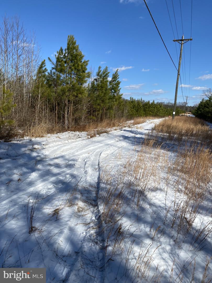 A2 FAIRVIEW RD, PARTLOW, Virginia 22534, ,Land,For sale,A2 FAIRVIEW RD,VASP2030082 MLS # VASP2030082