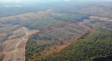 PLANK RD, KENBRIDGE, Virginia 23944, ,Land,For sale,PLANK RD,VALB2000036 MLS # VALB2000036