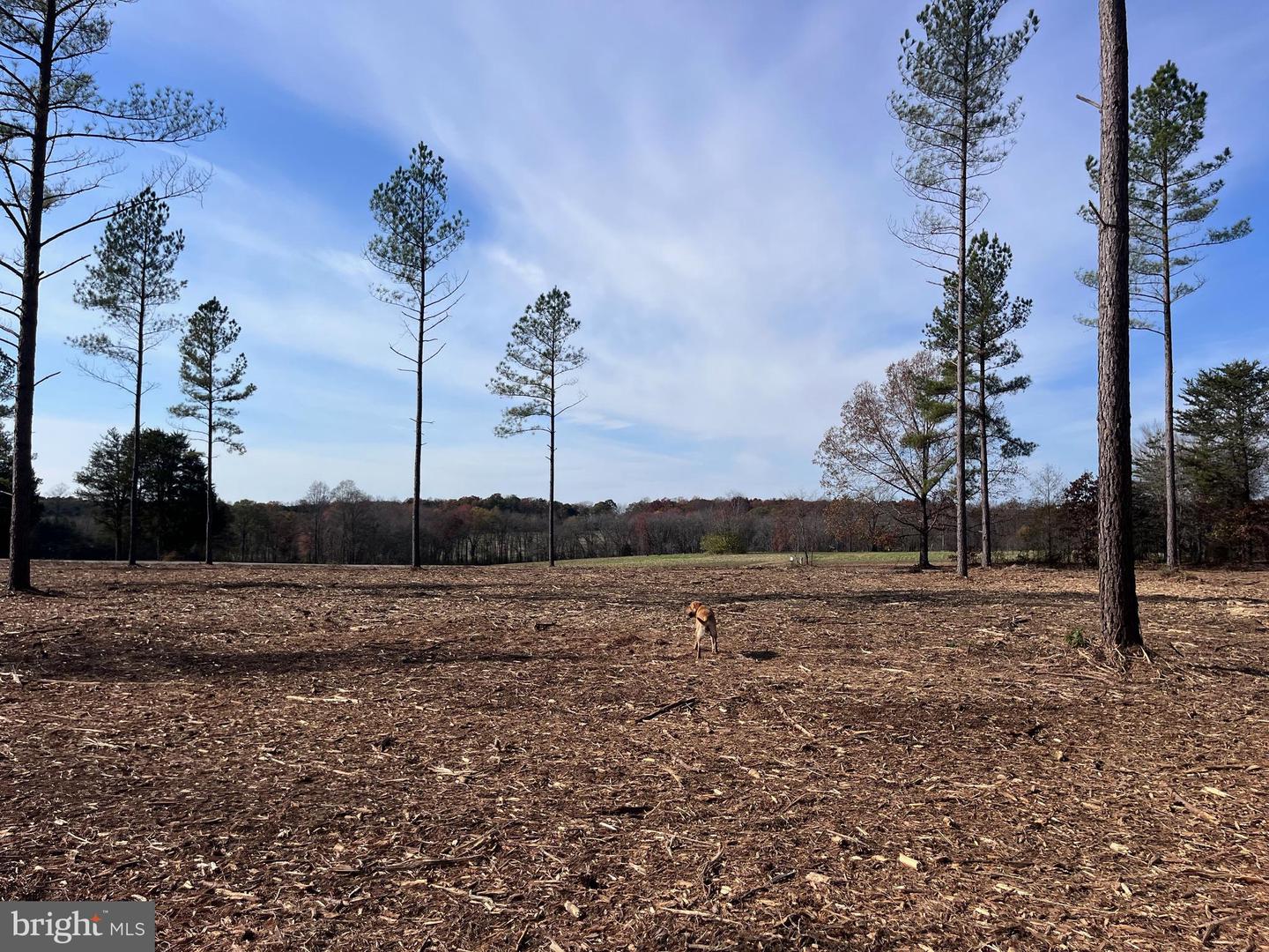 0 LAWYERS RD, SPOTSYLVANIA, Virginia 22553, ,Land,For sale,0 LAWYERS RD,VASP2030098 MLS # VASP2030098