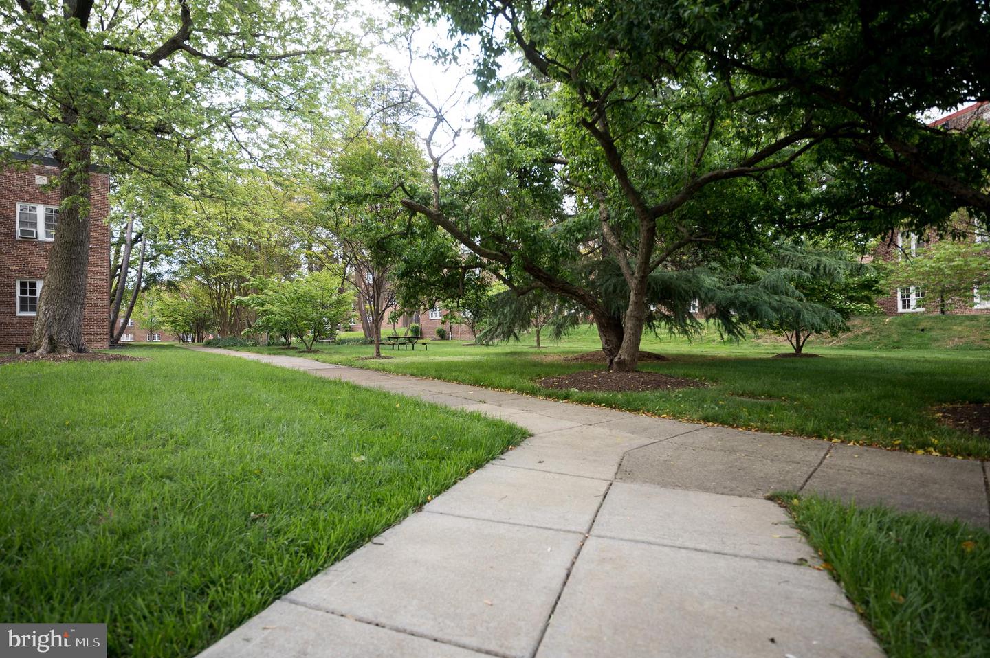 236 FARRAGUT ST NW #H-203, WASHINGTON, District Of Columbia 20011, 3 Bedrooms Bedrooms, 8 Rooms Rooms,1 BathroomBathrooms,Residential,For sale,236 FARRAGUT ST NW #H-203,DCDC2174248 MLS # DCDC2174248