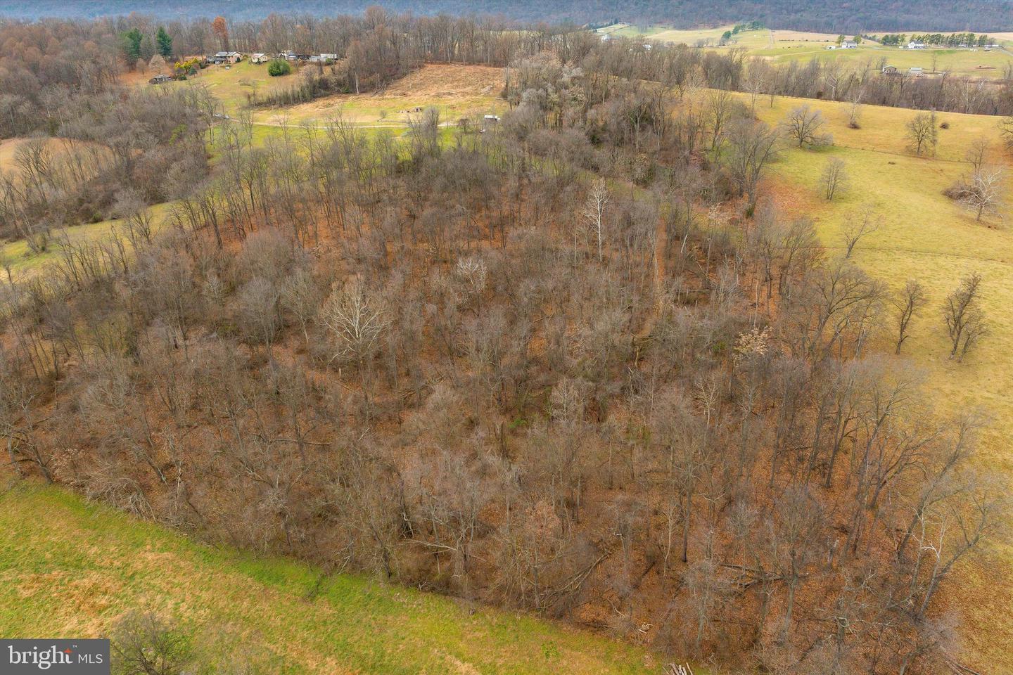 20449 HOLMANS CREEK LN, TIMBERVILLE, Virginia 22853, ,Land,For sale,20449 HOLMANS CREEK LN,VASH2010434 MLS # VASH2010434