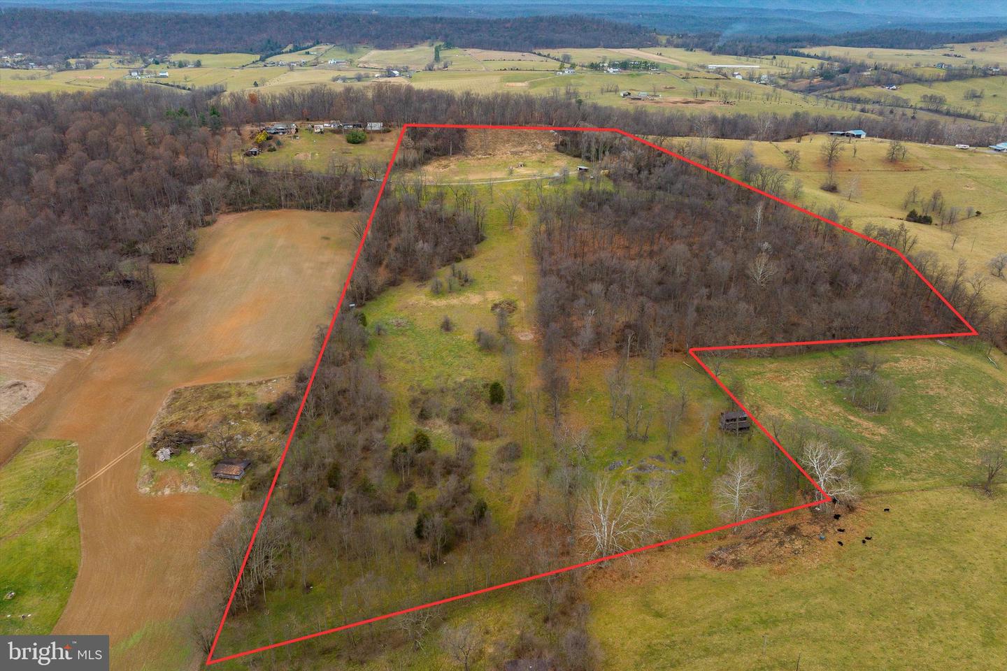 20449 HOLMANS CREEK LN, TIMBERVILLE, Virginia 22853, ,Land,For sale,20449 HOLMANS CREEK LN,VASH2010434 MLS # VASH2010434